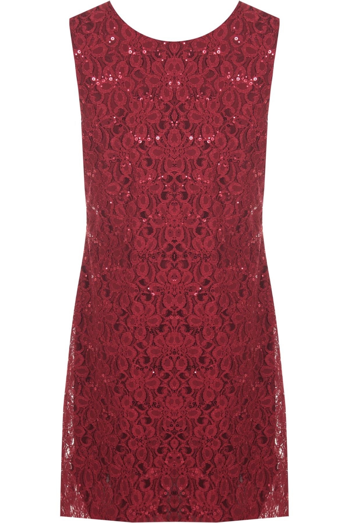 Flapper Lace Dress Dress WearAll